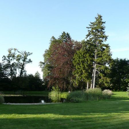 Villa Miodowy Dwór Rusinowo  Exterior foto